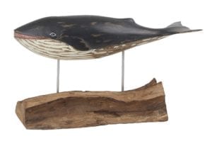 D411 Minke Small Whale