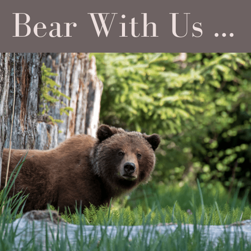 edmunds and clarke delivery lead times blog