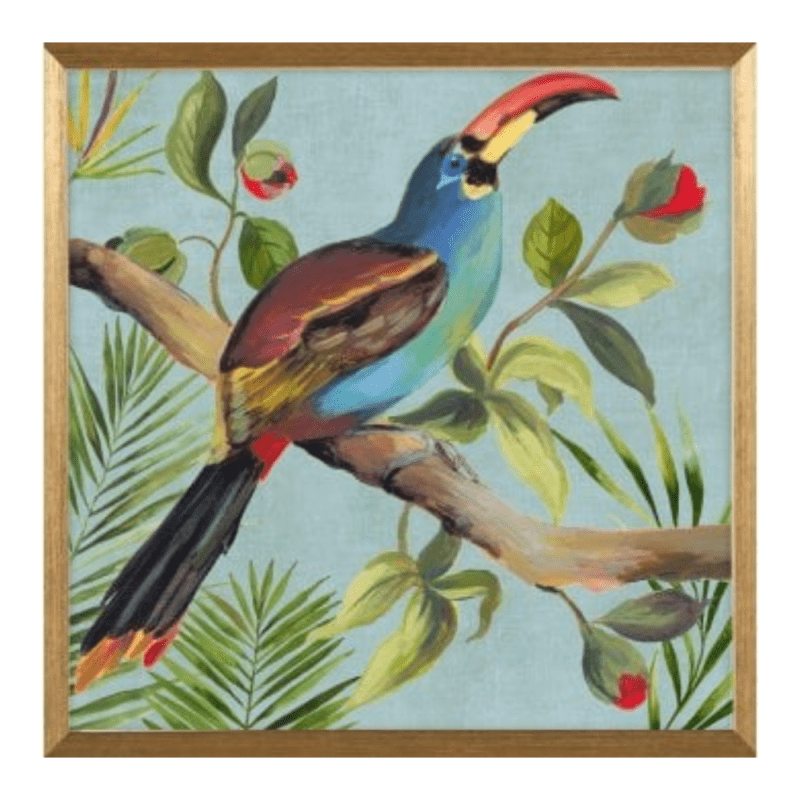 Paradise Toucan framed art