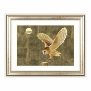 AML01654 Gold owl framed art at Edmunds & Clarke Furniture