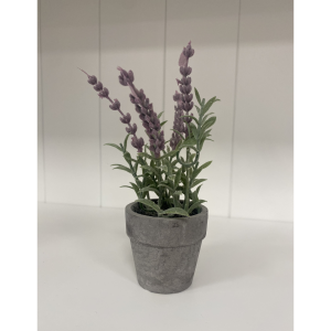 Extra small faux small lavender in small grey pot. Edmunds Clarke Furniture