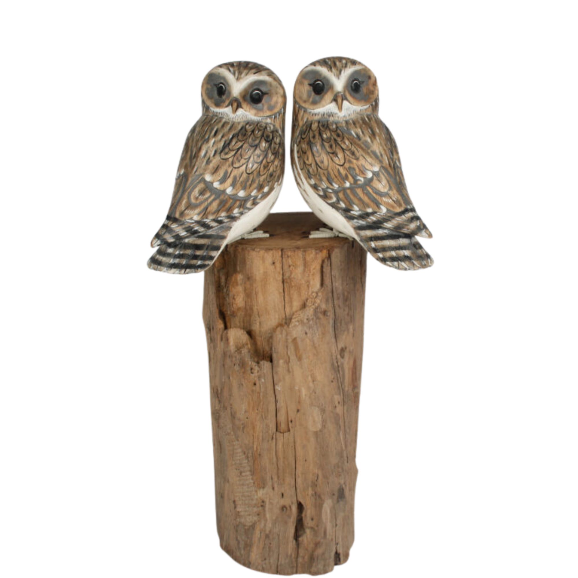 Double Little Owl Block Wood Carving