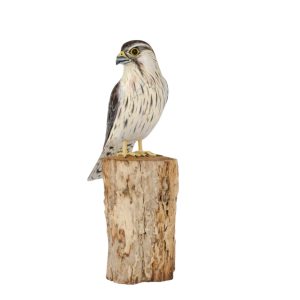 Kestrel on post wood carving - head turned