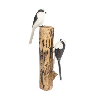 Longtailed tit on wood stump side view